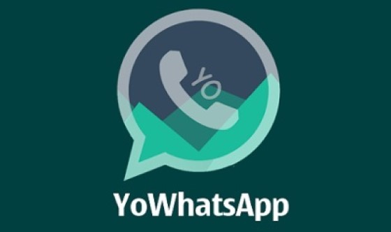 YO WhatsApp