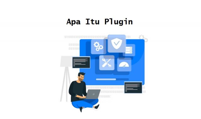 apa itu plugin
