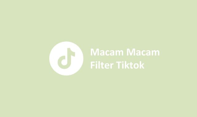Macam Macam Filter Tiktok